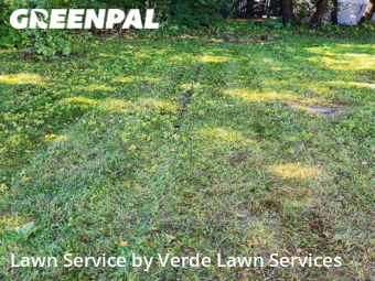 Lawn Mowing Service nearby Bedford, NH, 