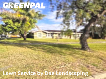 Lawn Mowing Servicein Ocoee,34761,Lawn Maintenance by Dae Landscaping, work completed in Feb , 2026