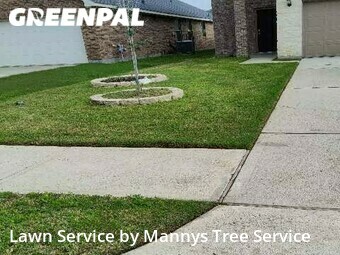 Grass Cut nearby Bacliff, TX, 