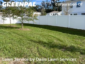 Lawn Cut nearby De Land, FL, 