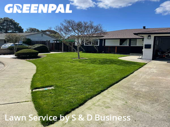 Yard Mowing nearby Fremont, CA, 
