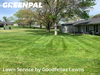 Lawn Mowing Service nearby Bellevue, NE, 
