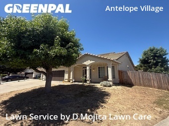 Yard Mowing nearby Antelope, CA, 
