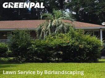 Grass Cut nearby Charleston, SC, 