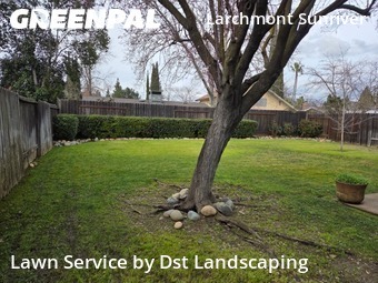 Yard Mowing nearby Rancho Cordova, CA, 