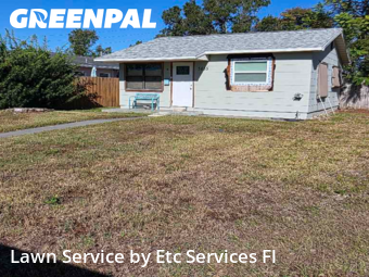 Landscaping Services In St. Petersburg,33710,Landscaping by Etc Services Fl, work completed in Dec , 2025