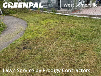 Yard Management in Somerville, 2144, Landscaping Maintenance by Prodigy Contractors , work completed in Nov , 2025