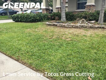 Lawn Service nearby Apopka, FL, 