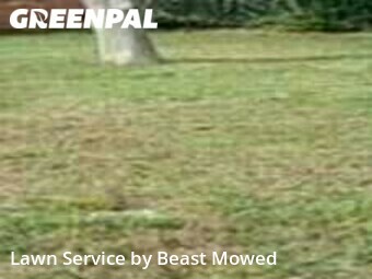 Lawn Cut nearby Tampa, FL, 