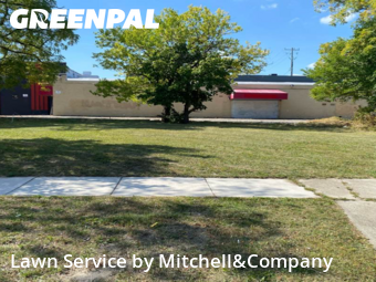 Yard Management in Pontiac, 48341, Yard Cutting by Mitchell&Company, work completed in Nov , 2025