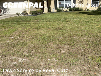 Lawn Cutting nearby Deltona, FL, 