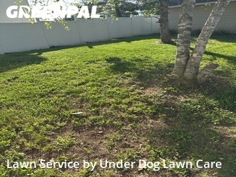 Lawn Care nearby Green Bay, WI, 