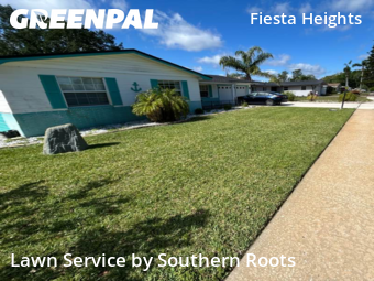 Lawn Cut nearby Ormond Beach, FL, 