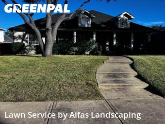 Lawn Carein The Colony,75056,Lawn Cut by Alfas Landscaping, work completed in Dec , 2025