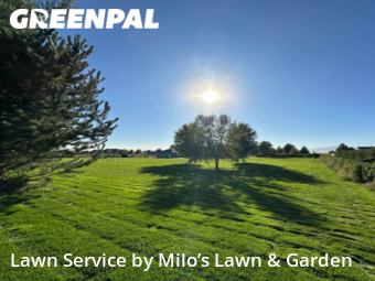 Grass Cutting nearby Pasco, WA, 