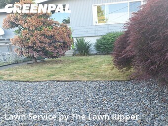 Lawn Service nearby Kent, WA, 