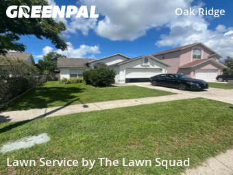 Lawn Cutting nearby Tampa, FL, 