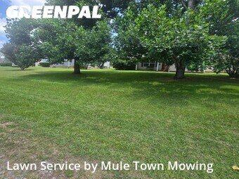 Yard Mowing nearby Murfreesboro, TN, 