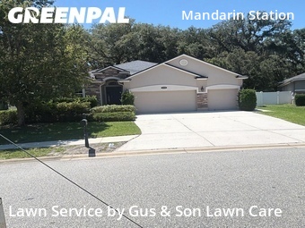 Grass Cut nearby Jacksonville, FL, 