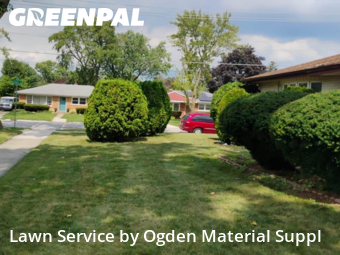 Lawn Mowing Service nearby Des Plaines, IL, 