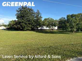 Grass Cut nearby Gainesville, FL, 