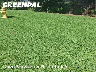 Lawn Care Service nearby St. Augustine, FL, 
