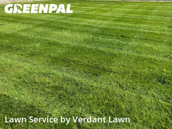Yard Mowing nearby Loveland, CO, 