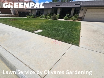Grass Cut nearby Palmdale, CA, 
