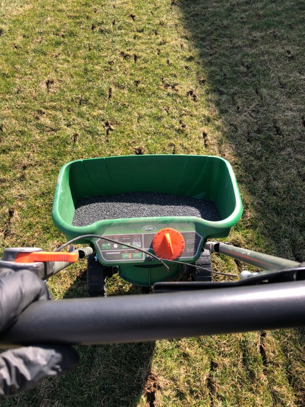 local-lawn-care-services-in-Olympia-WA