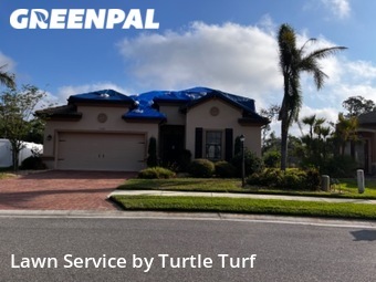 Lawn Cut nearby Port Charlotte, FL, 