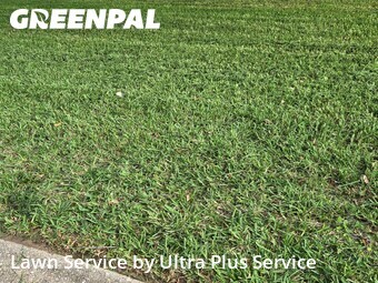 Yard Mowing nearby Pensacola, FL, 