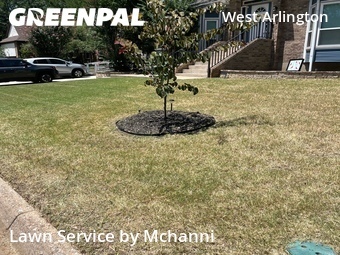 Lawn Maintenance nearby Arlington, TX, 
