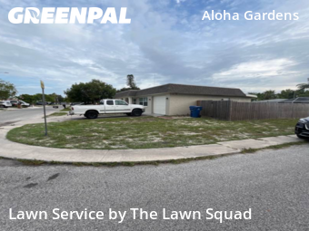 Grass Cut nearby Holiday, FL, 