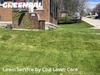 Lawn Mowing nearby Rockdale, IL, 