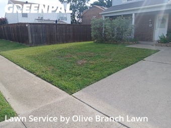 Yard Mowing nearby Watauga, TX, 