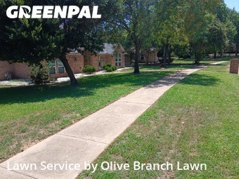 Lawn Maintenancein Keller,76248,Lawn Care by Olive Branch Lawn, work completed in Nov , 2025