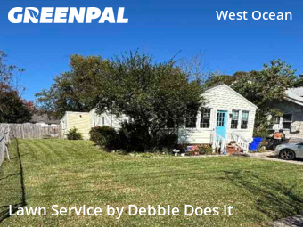 Yard Management in Norfolk, 23503, Grass Services by Debbie Does It, work completed in Nov , 2025