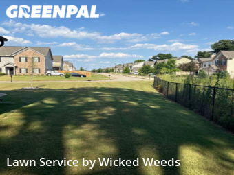 Lawn Mowing Service nearby Byron, GA, 