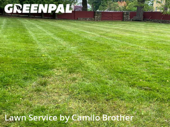 Lawn Maintenance nearby Norwalk, CT, 