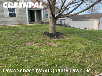 Lawn Mowing Service nearby Saint Charles, MO, 