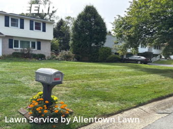 Yard Services in Allentown, 18103, Lawn Management by Allentown Lawn, work completed in Nov , 2025