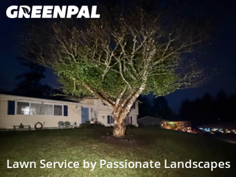 Lawn mowed in Lacey, 98503