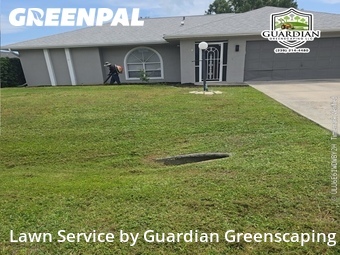 Lawn Cut nearby Fort Myers, FL, 