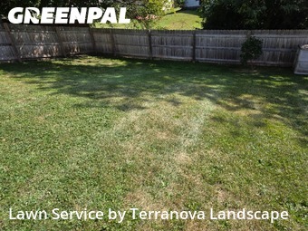 Yard Cuttingin Bolingbrook,60440,Yard Mowing by Terranova Landscape, work completed in Nov , 2025