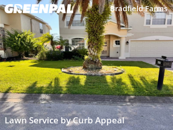 Yard Cutting nearby Clermont, FL, 