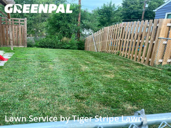 Lawn Mow nearby La Vista, NE, 