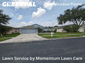 Lawn Cutting nearby Wesley Chapel, FL, 