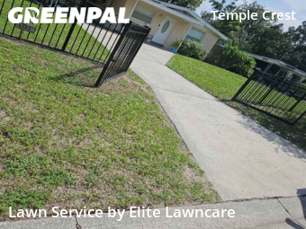 Grass Cutting nearby Tampa, FL, 