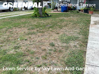 Grass Cut nearby San Antonio, TX, 