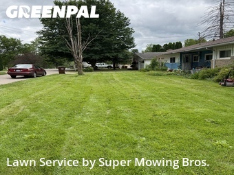 Grass Cutting nearby Eaton Rapids, MI, 